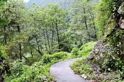 地铁：最后的曙光